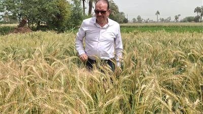 “الزراعة تتحرك من الميدان.. وكيل وزارة بني سويف يقود جولة حاسمة لضبط ومتابعة القمح والقطن بمركز ناصر”