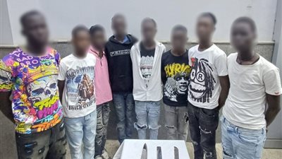 ضبط أجانب ظهروا في فيديو رقص بأسلحة بيضاء خلال احتفالات الربيع بالقاهرة