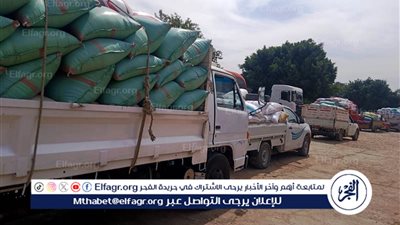 محافظ سوهاج: توريد أكثر من 1844 طن قمح للشون والصوامع خلال 4 أيام