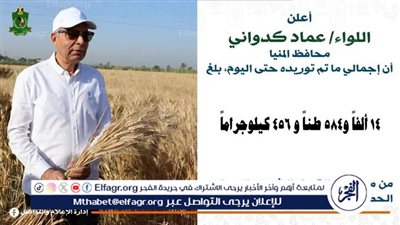  شون وصوامع المحافظة تستقبل 14 ألف طن من القمح ضمن موسم توريد 2026