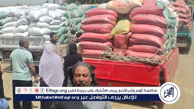 محافظ سوهاج: توريد 5801 طن قمح وتجهيز 15 موقعًا لاستقبال المحصول