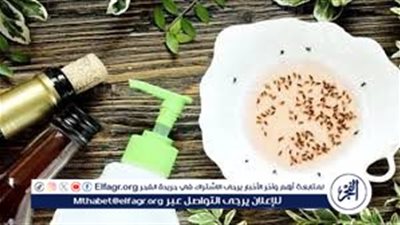 طرق فعالة للتخلص من الذباب نهائيًا دون كيماويات والحفاظ على منزل صحي في الصيف