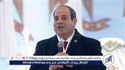 عاجل- السيسي يؤكد ضرورة عدم تشتيت الانتباه عن غزة والضفة ويشدد على وقف إطلاق النار