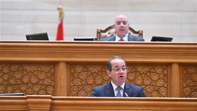 وزير المالية يكشف لـ النواب احتياطي النقد الأجنبي في مصر