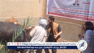  قافلة تنموية شاملة لجامعة الفيوم بقرية دسيا 