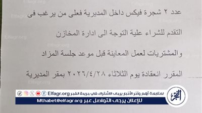  “شجرتان على طاولة البيع”.. مزاد داخل مديرية الزراعة يفتح باب الجدل ببني سويف 