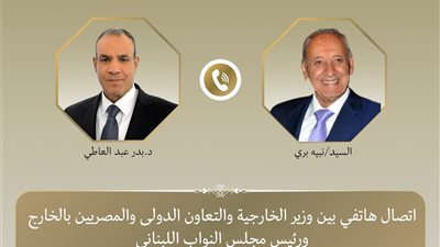 وزير الخارجية يؤكد ضرورة التزام إسرائيل الكامل بوقف إطلاق النار في لبنان