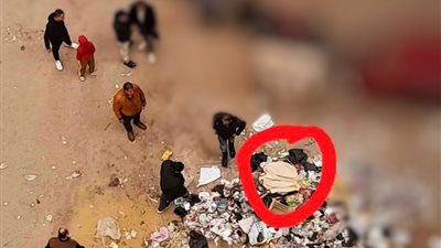 الكلاب تنهش جسده.. العثور على جثمان طفل بمقلب قمامة بالإسكندرية 