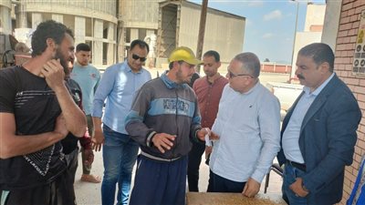 محافظ الدقهلية: توريد 5120 طن قمح لمواقع التخزين والصوامع على مستوى المحافظة