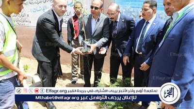 لزيادة المساحات الخضراء.. محافظ المنيا يشارك في زراعة 500 شجرة بمجمع مدارس مغاغة