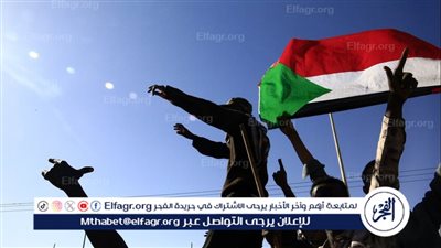 قيادي سوداني: انتصارات الجيش في النيل الأزرق تحمل أبعادًا واسعة