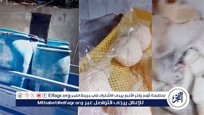ضبط مصنع جبنة رومي غير مرخص يستخدم مواد وألبان فاسدة ببني سويف