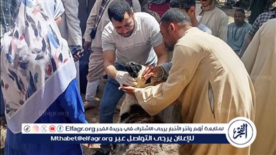 الطب البيطري بسوهاج يسلم 850 رأس أغنام للمستفيدين بقرى أخميم والمراغةوطهطا