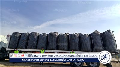  توزيع 150 ألف كيلو بطاطس على الأسر الأولى بالرعاية بقرى ومراكز محافظة الفيوم
