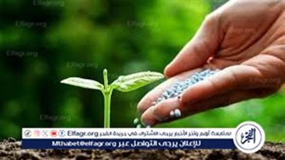 الوزراء يحسم الجدل: لا أزمة في الأسمدة الزراعية للموسم الصيفي والمخزون آمن ومستقر