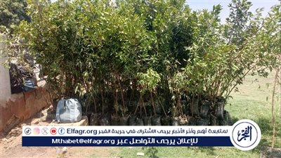 محافظ أسيوط: تحويل موقع مخلفات بالوليدية بحي شرق إلى مساحة خضراء 