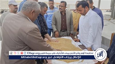 توريد أكثر من 80 ألف طن قمح إلى الصوامع والشون منذ انطلاق موسم 2026
