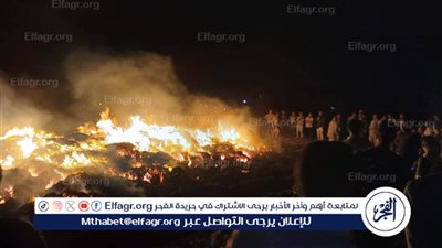 خلافات جيرة تتحول إلى حريق بمحصول قمح.. وضبط المتهم بقرية الأكرت في الفيوم