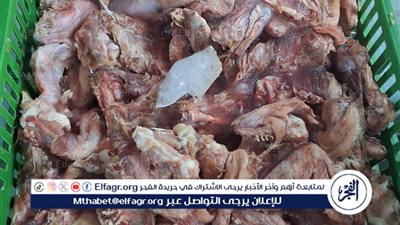 محافظ أسيوط: ضبط 60 كجم فراخ وكبدة غير صالحة للاستهلاك الآدمي بحى غرب 