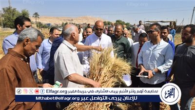 محافظ أسيوط يتفقد حصاد القمح بقرية درنكة 