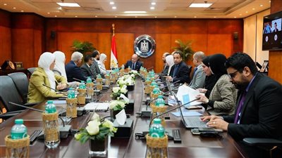 وزير الاستثمار يبحث مع منظمة الأمم المتحدة للتنمية الصناعية (يونيدو) سبل تعزيز التنافسية وجذب الاستثمارات