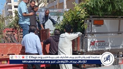 محافظ الفيوم يتابع أعمال استلام دفعة جديدة من الأشجار لغرسها بالمدارس ومراكز الشباب