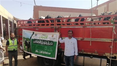 تضامن أسوان يضع خطة متكاملة لاستقبال عيد الأضحى وتوسيع مظلة الحماية الاجتماعية