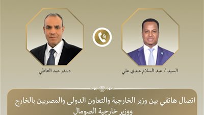 وزير الخارجية ونظيره الصومالي يبحثان تطورات الأوضاع بالصومال وتعزيز الشراكة الاستراتيجية
