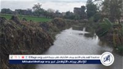 عمرها يوم......العثور على رضيعة حديثة الولادة غارقة بترعة في المنيا