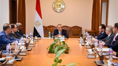 وزير الخارجية يشيد بما حققته الشركات المصرية العاملة في إفريقيا