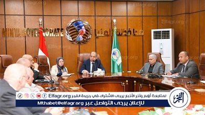 محافظ المنيا يبحث مع وفد «دريكسلماير» الألمانية إنشاء مصنع لضفائر السيارات بالمحافظة