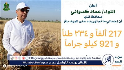 توريد 217 ألف طن من القمح بصوامع المحافظة منذ بدء موسم 2026