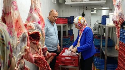 تشميع 31 منشأة مخالفة وتحرير 71 محضرًا خلال حملات رقابية مكثفة بالمنيا