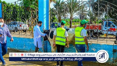 2000 عجل بلدى ومليون كيلو لحوم من الأورمان فى محافظات الجمهورية المختلفة خلال عيد الأضحى المبارك