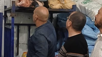 ضبط وتحفظ على 15 طن دواجن وبط خلال حملات رقابية مكثفة بالقليوبية