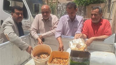 محافظ المنيا: ضبط 73 ألف لتر سولار قبل تهريبها وتحرير 160 مخالفة تموينية