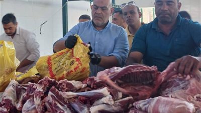 ضبط طن لحوم مذبوحة خارج المجازر داخل سلخانة غير مرخصة بمدينة العبور بالقليوبية