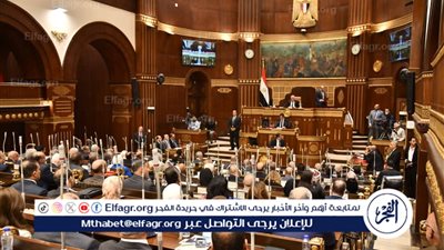 ملفات المدارس اليابانية وامتحانات الثانوية العامة على طاولة مجلس الشيوخ غدًا