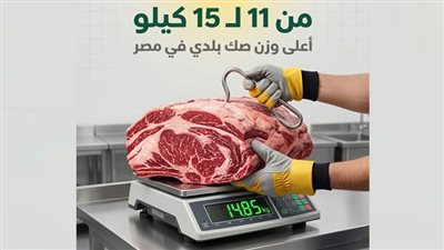 مؤسسة تطبيق سند» تطلق موسم الأضاحي 2026 بمنظومة رقمية متكاملة لتعزيز الشفافية والتحول الرقمي في العمل الخيري