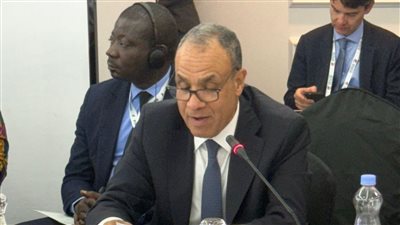 وزير الخارجية: موقف مصر ثابت وداعم لمسألة إصلاح وتوسيع مجلس الأمن
