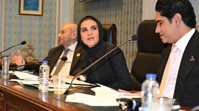 اقتصادية الشيوخ توافق على دراسة قياس الأثر التشريعي لقانون الشركات رقم (159) لسنة 1981.. تفاصيل