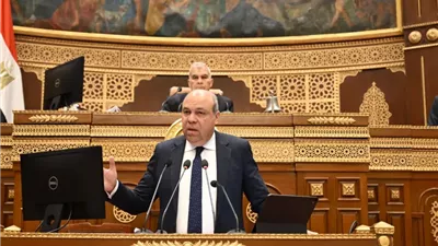 الحفني: جميع شركات مصر للطيران تحقق أرباحًا خلال العام الحالي لأول مرة منذ 93 عامًا