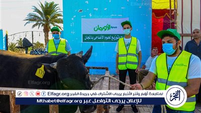 تحت إشراف 