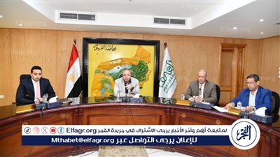  محافظ الفيوم يشدد على الإزالة الفورية للتعديات في المهد