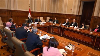 خارجية الشيوخ تناقش تطورات العلاقات المصرية الأفريقية وملف السودان وسد النهضة