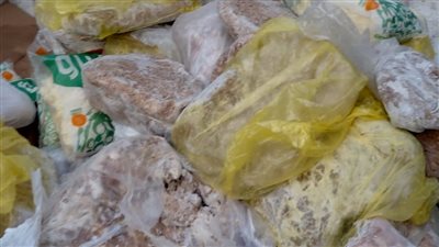 محافظة الجيزة تنظم حملات على المحال العامة التي تمارس نشاطًا سياحيًا بالطالبية