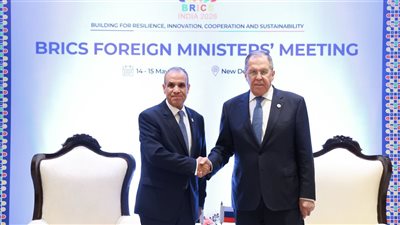 وزير الخارجية يلتقي نظيره الروسي على هامش اجتماع وزراء خارجية البريكس