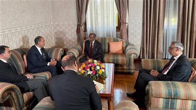 وزير الخارجية يلتقي نظيره الإريتري لبحث تعزيز الشراكة الاستراتيجية والتنسيق حول تطورات الأوضاع الإقليمية