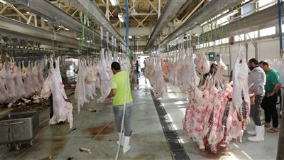 غرامة 5 آلاف جنيه..حظر نقل وحفظ جلود الأضاحي دون تصريح من الطب البيطري بالجيزة