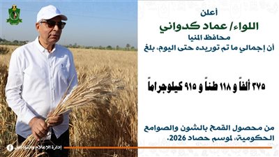 استمرار توريد القمح بالمنيا.. استلام 375 ألف طن منذ بداية الموسم